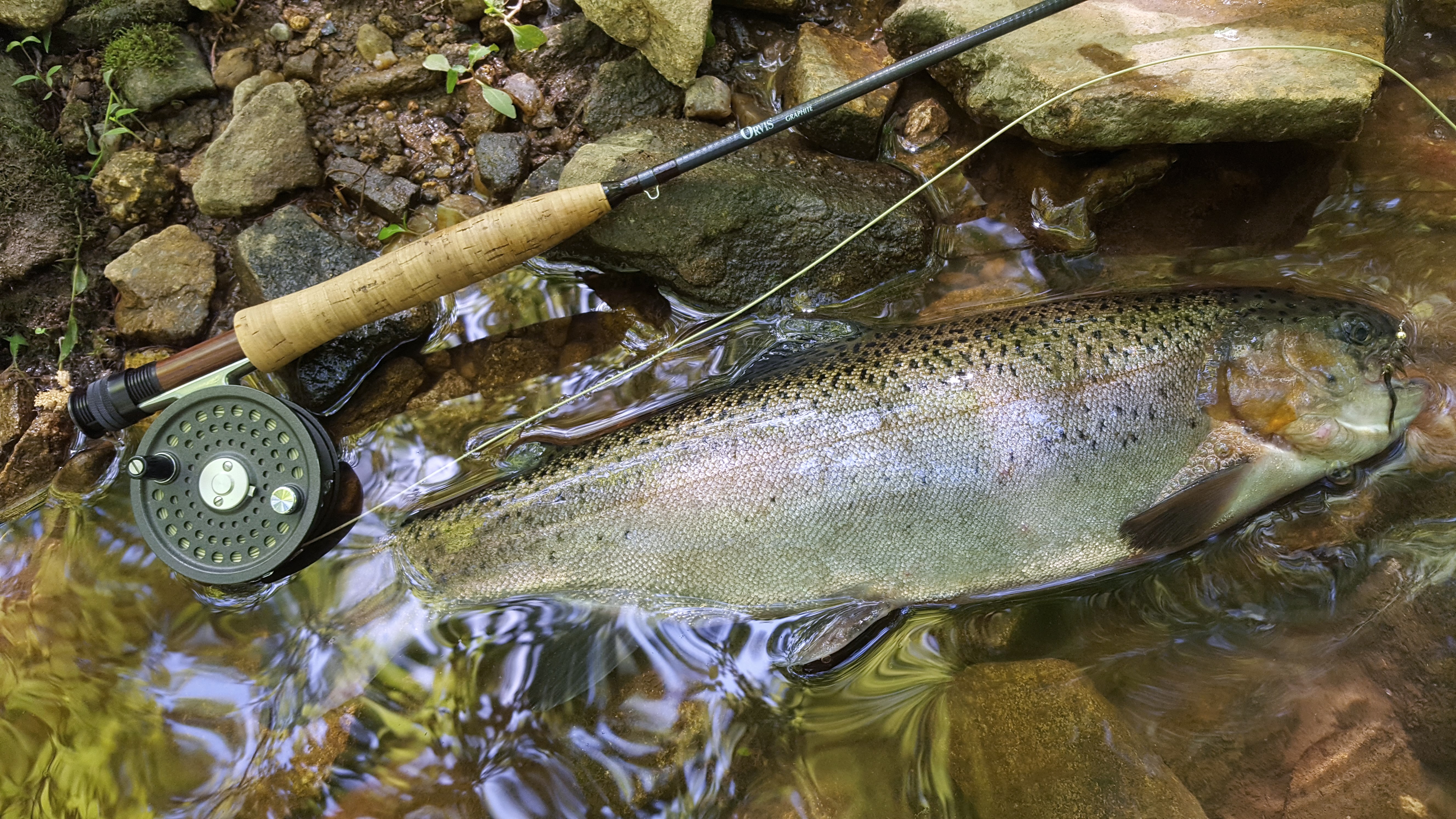 What's your favorite vintage orvis graphite? | Fishing with